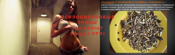 apvp Алексеевка