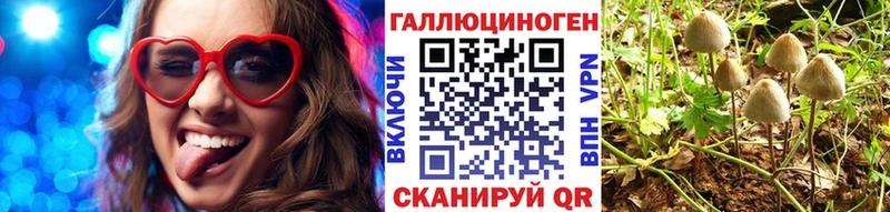 hydra tor  Морозовск  Галлюциногенные грибы Psilocybe 