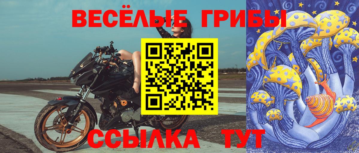 Псилоцибиновые грибы Psilocybine cubensis Морозовск