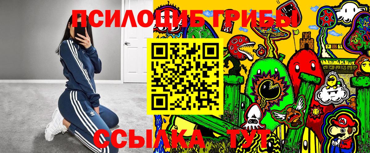 Галлюциногенные грибы мицелий  закладка  Морозовск  Вход с VPN 